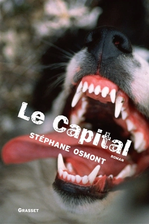 Le capital - Stéphane Osmont