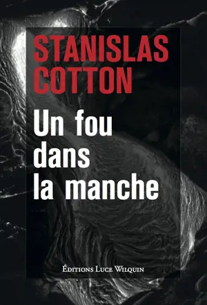 Un fou dans la manche - Stanislas Cotton