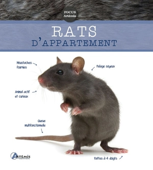 Rats d'appartement - Petra Dietz