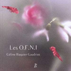 Les OFNI - Céline Ruquier Gaudriot