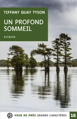 Un profond sommeil - Tiffany Quay Tyson