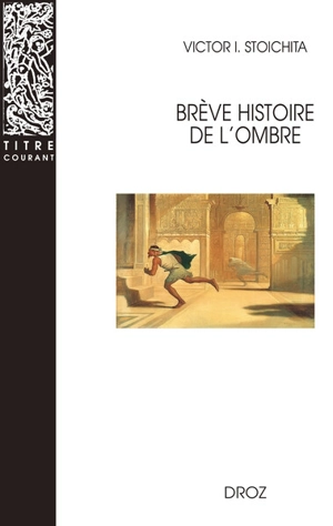 Brève histoire de l'ombre - Victor Ieronim Stoichita