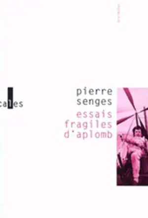 Essais fragiles d'aplomb - Pierre Senges