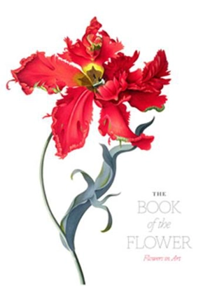 The Book of the Flower Flowers in Art - Angus Hyland