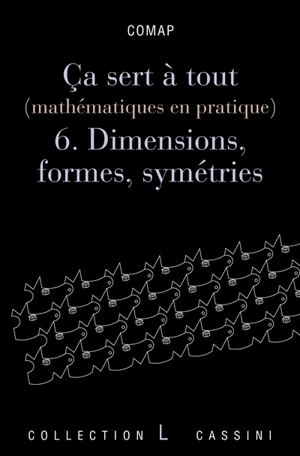 Ca sert à tout : mathématiques en pratique. Vol. 6. Dimensions, formes et symétries - COMAP