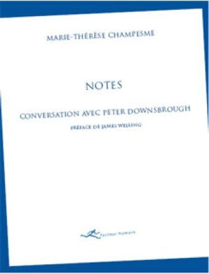 Notes : conversation avec Peter Downsbrough - Peter Downsbrough