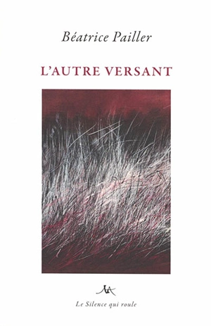 L'autre versant - Béatrice Pailler