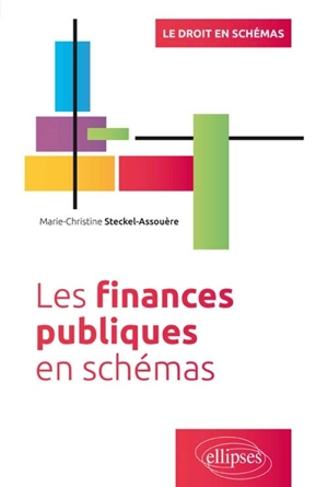 Les finances publiques en schémas - Marie-Christine Steckel-Assouère