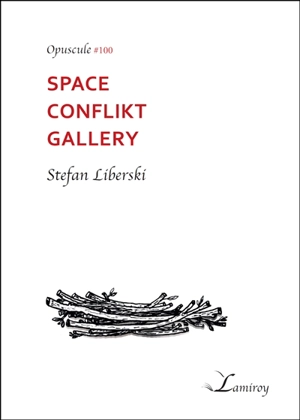 Space conflikt gallery - Stefan Liberski