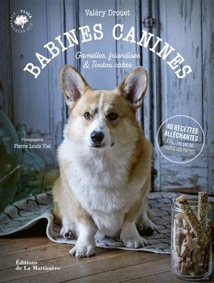 Babines canines : gamelles, friandises & toutou cakes : 40 recettes alléchantes à mettre entre toutes les pattes - Valéry Drouet