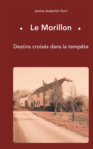 Le Morillon : destins croisés dans la tempête - Janine Aubertin-Turri