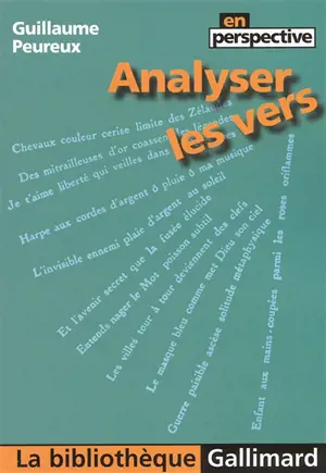 Analyser les vers - Guillaume Peureux