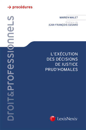 L'exécution des décisions de justice prud'homales - Marien Malet