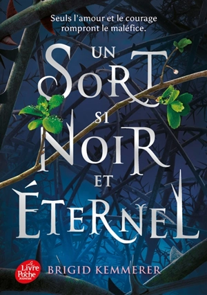 Un sort si noir et éternel. Vol. 1 - Brigid Kemmerer