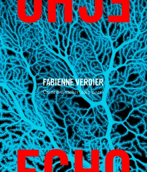 Echo : carnets d'atelier (2017-2022) - Fabienne Verdier