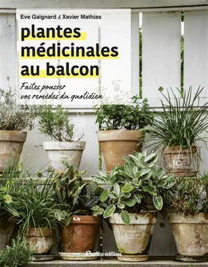 Plantes médicinales au balcon : faites pousser vos remèdes du quotidien - Eve Gaignard