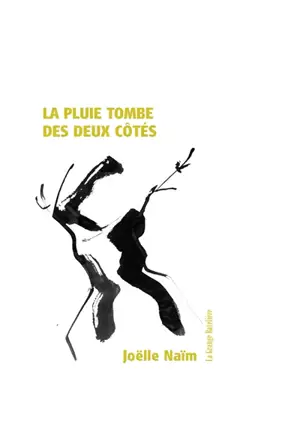 La pluie tombe des deux côtés - Joëlle Naïm