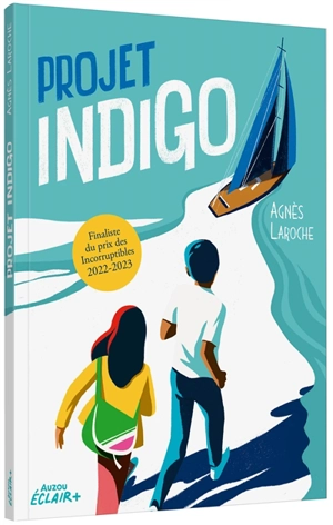 Projet Indigo - Agnès Laroche