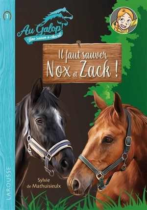 Au galop ! Une saison à cheval. Vol. 1. Il faut sauver Nox et Zack ! - Sylvie de Mathuisieulx