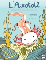 L'axolotl, les secrets d'une métamorphose - Caroline Pellissier