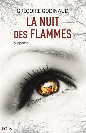 La nuit des flammes - Grégoire Godinaud