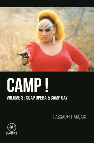 Camp ! : 20 ans d'outrances dans le cinéma anglo-saxon (1960-1980). Vol. 3. Soap opera & camp gay - Pascal Françaix