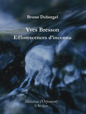 Yves Bresson : efflorescences d'inconnu - Bruno Duborgel