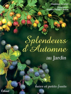 Splendeurs d'automne au jardin : baies et petits fruits - Dominique Lenclud