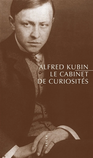 Le cabinet de curiosités : et autres textes. Une littérature panoramique - Alfred Kubin