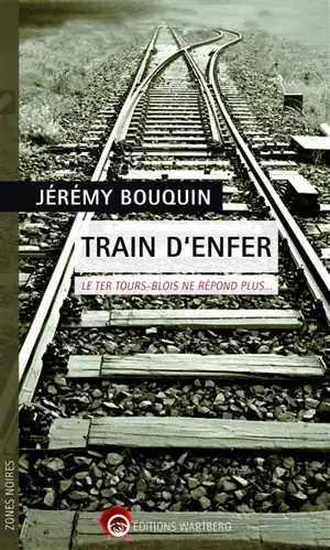 Train d'enfer : le TER Tours-Blois ne répond plus... - Jérémy Bouquin