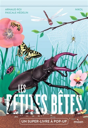 Les petites bêtes : un super livre à pop-up - Arnaud Roi