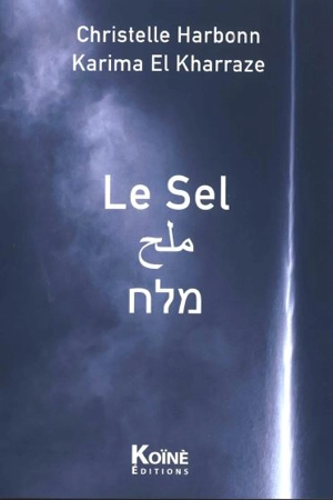 Le sel - Christelle Harbonn