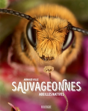 Sauvageonnes : abeilles natives - Arnaud Ville