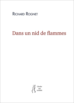 Dans un nid de flammes - Richard Rognet