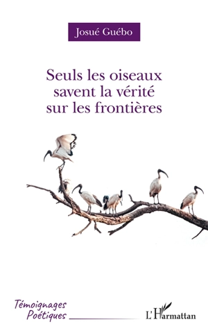 Seuls les oiseaux savent la vérité sur les frontières - Josué Guébo