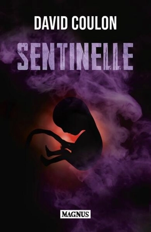 Sentinelle : thriller - David Coulon