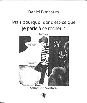 Mais pourquoi donc est-ce que je parle à ce rocher ? : haïkus - Daniel Birnbaum