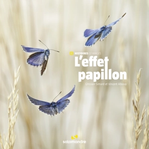 L'effet papillon - Ghislain Simard