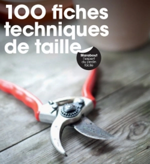 100 fiches techniques de taille - Fiona Hopes