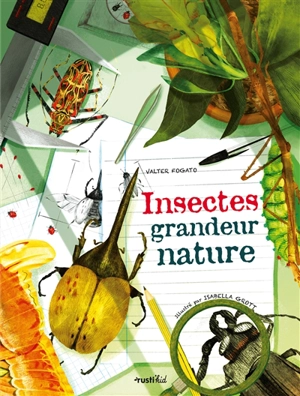 Insectes : grandeur nature - Valter Fogato