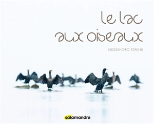Le lac aux oiseaux - Alessandro Staehli