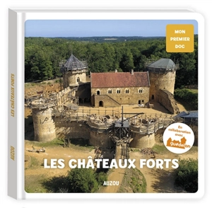 Les châteaux forts - Irena Aubert