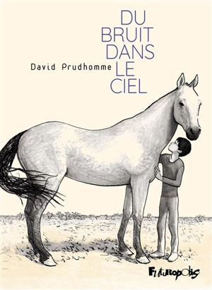 Du bruit dans le ciel - David Prudhomme