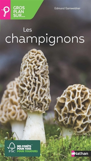 Gros plan sur... les champignons - Edmund Garnweidner