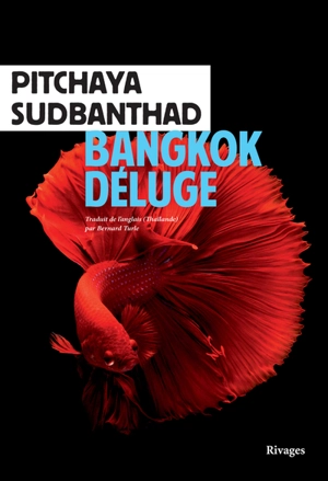 Bangkok déluge - Pitchaya Sudbanthad