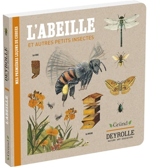 Mes premières leçons de choses. L'abeille : et autres petits insectes - Virginie Aladjidi