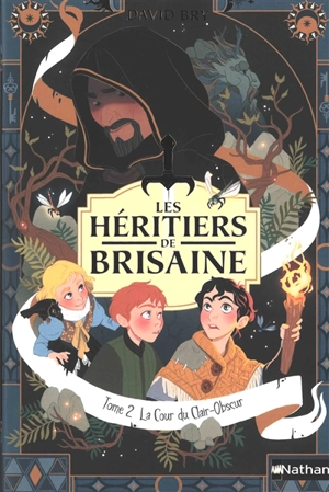 Les héritiers de Brisaine. Vol. 2. La cour du clair-obscur - David Bry