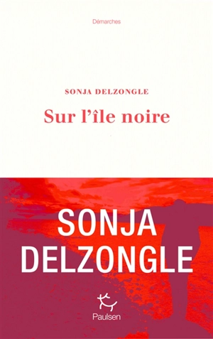 Sur l'île noire - Sonja Delzongle