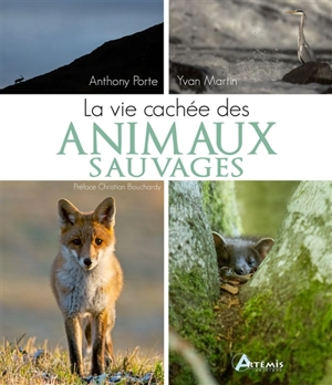 La vie cachée des animaux sauvages - Anthony Porte