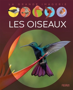 Les oiseaux - Raphaëlle Chauvelot